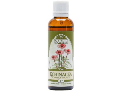 echinacea%20nad%C4%9Bje
