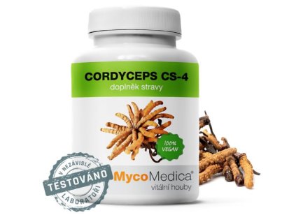 cordyceps
