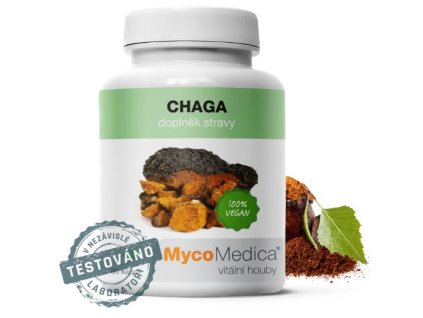 chaga
