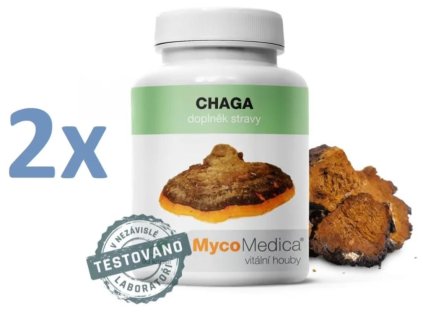 chaga 2
