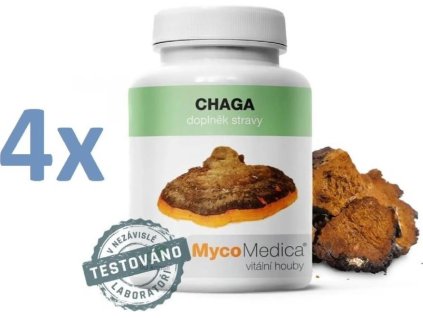 chaga 4