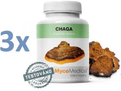 chaga 3