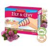 žíly cévy
