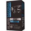 alavis%20maxima%20tribulus