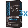 alavis%20maxima%20tribulus%203x