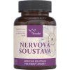 serafin%20nervov%C3%A1%20soustava