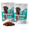 geloren dog 2