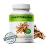 cordyceps