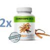 cordyceps 2