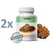 chaga 2