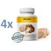 shiitake 4