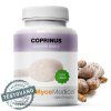 coprinus