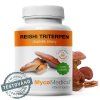 reishi%20triperpen