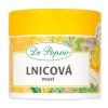 lnicová