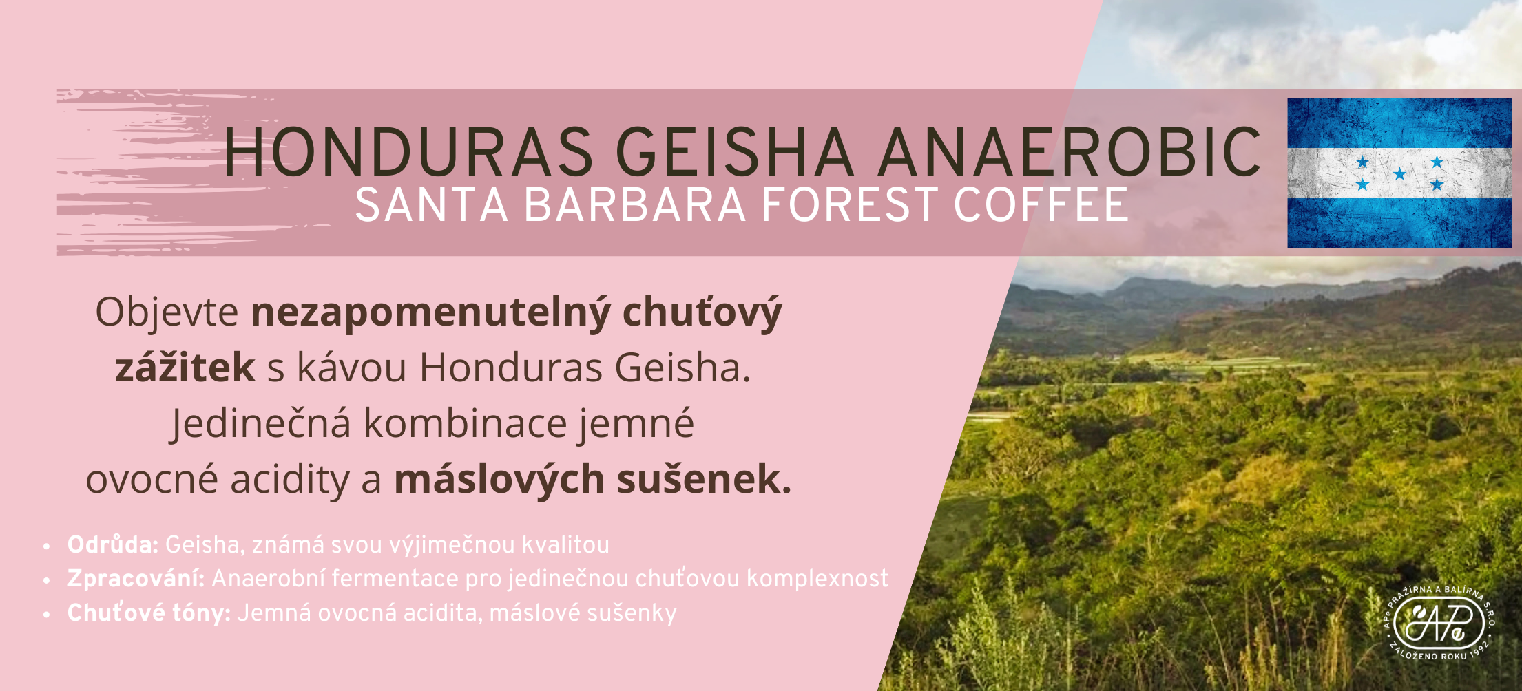 Honduras Geisha Anaerobic Santa Barbara Coffee