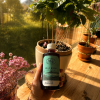 cold brew Rwanda 2