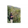 honduras2