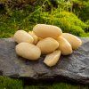 arasidy nesolene0568 macro
