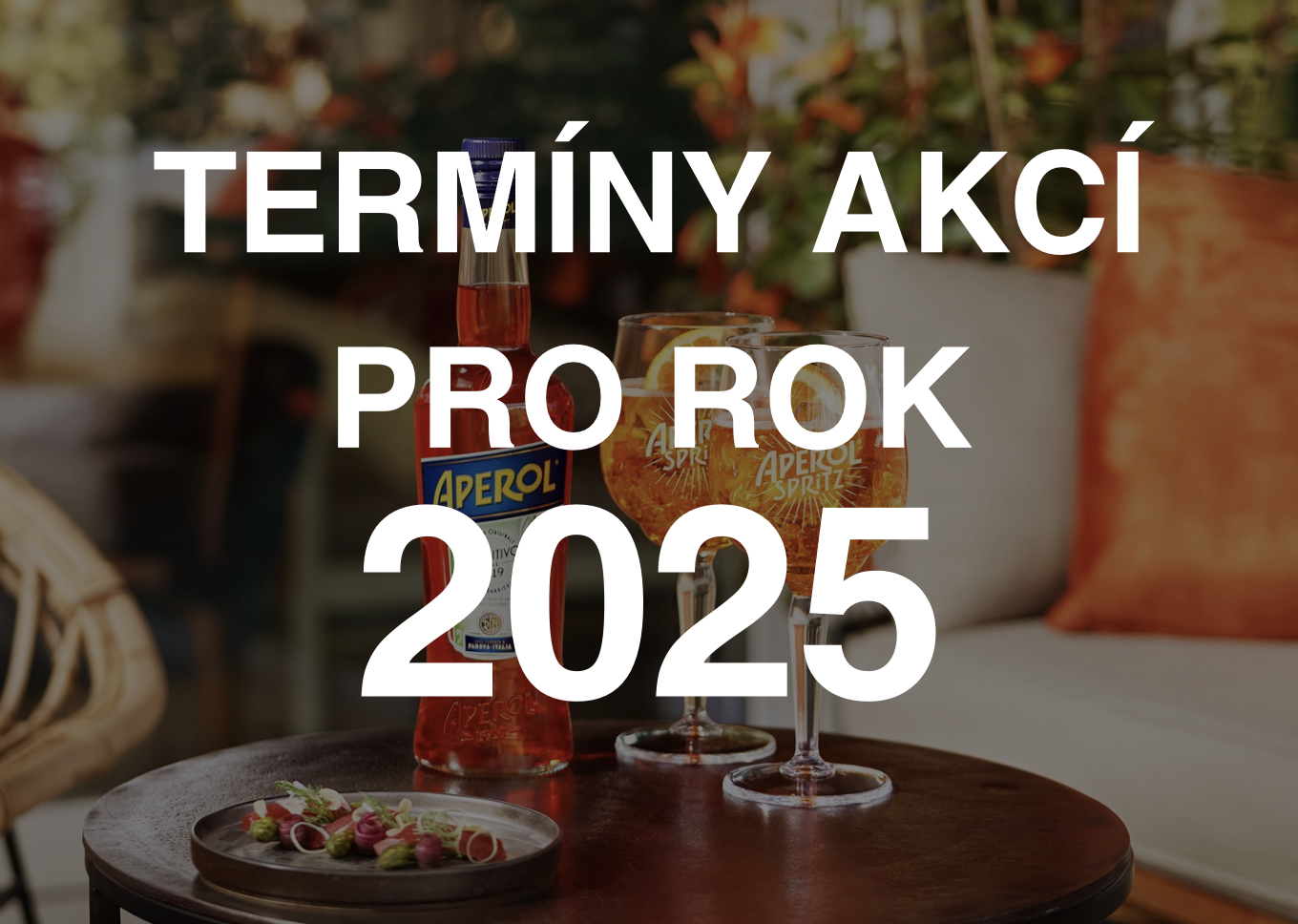 Termíny 2025