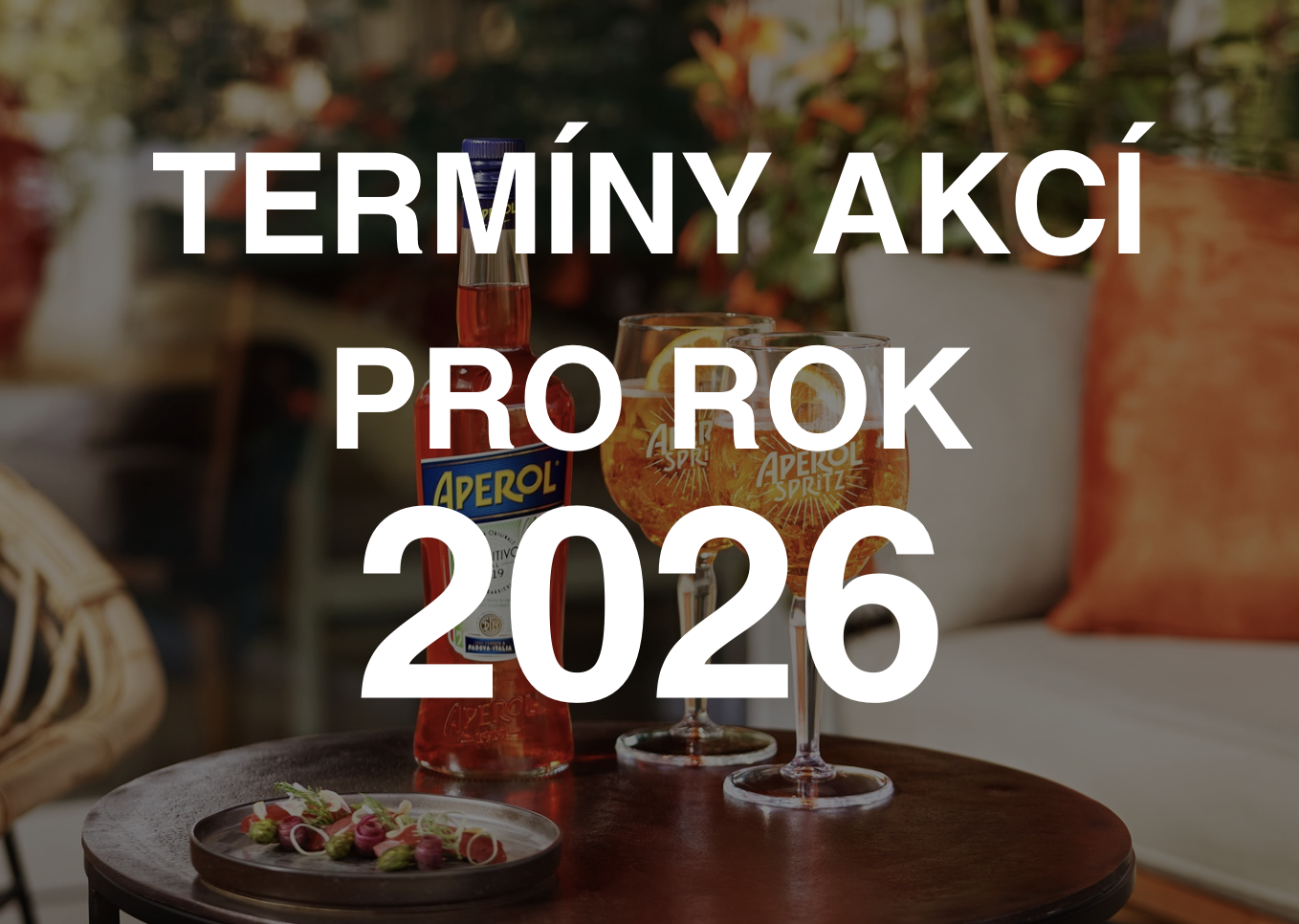 Termíny 2026