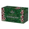 zelený čaj s echinaceou