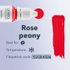 Rose peony details