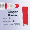 amiea pmu pigments Evolutionline Ginger flower details
