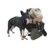 K9 Proseries dog harness