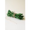 Svíčky Asparagus