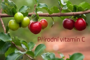 Acerola
