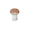 cushion boletus lorena canals 1