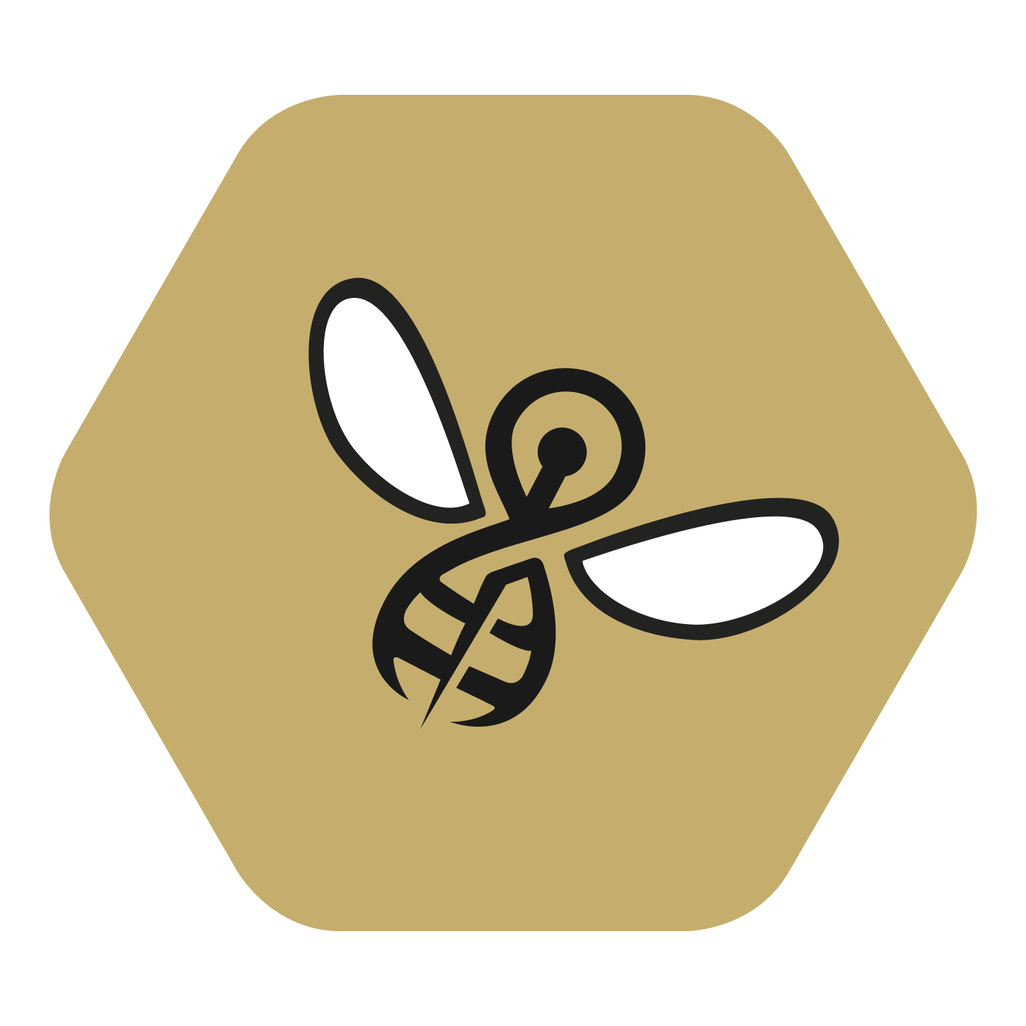 Revoluce v rehabilitaci kyčelní endoprotézy