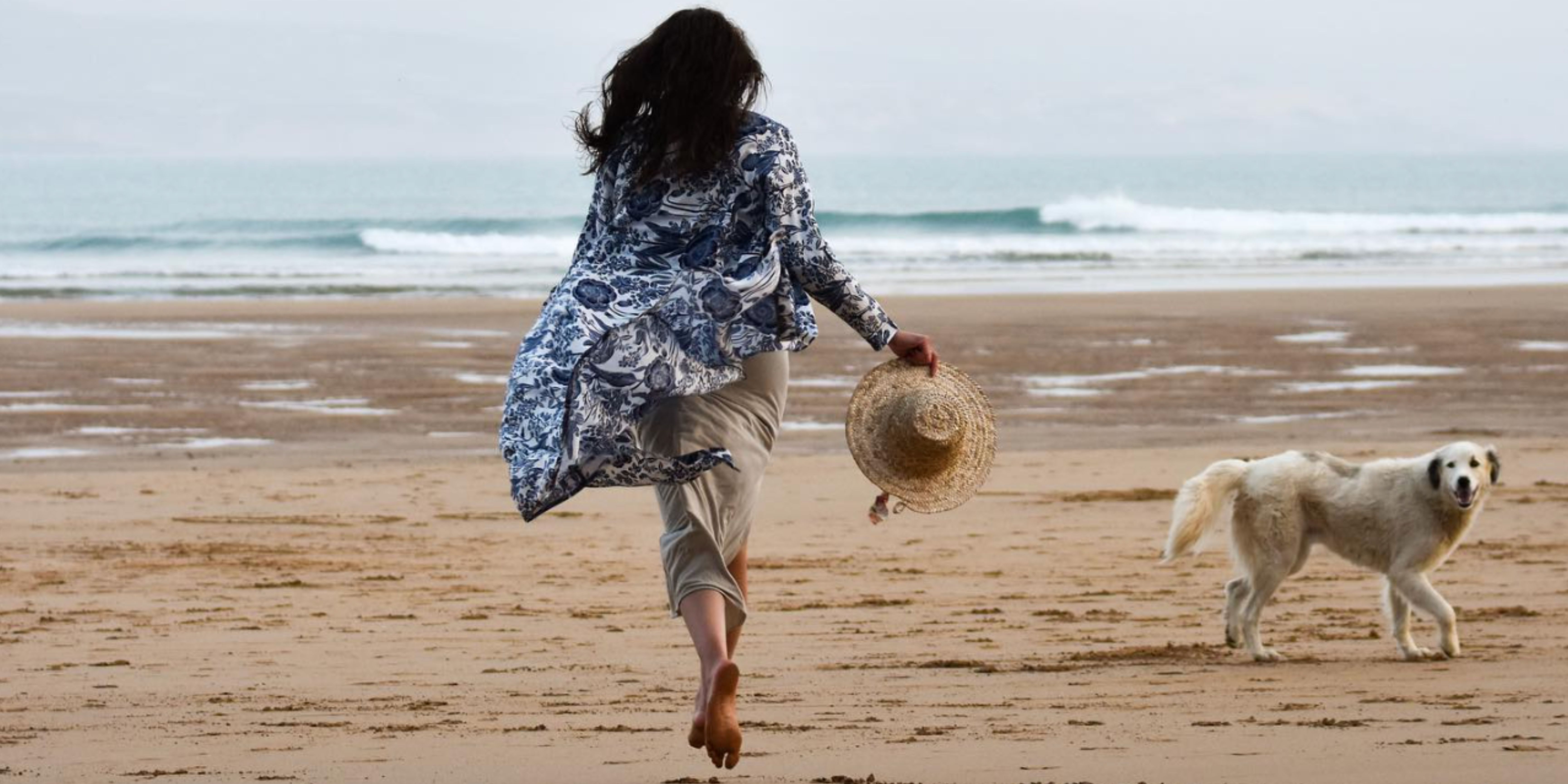 Velké nesnáze marockých psů