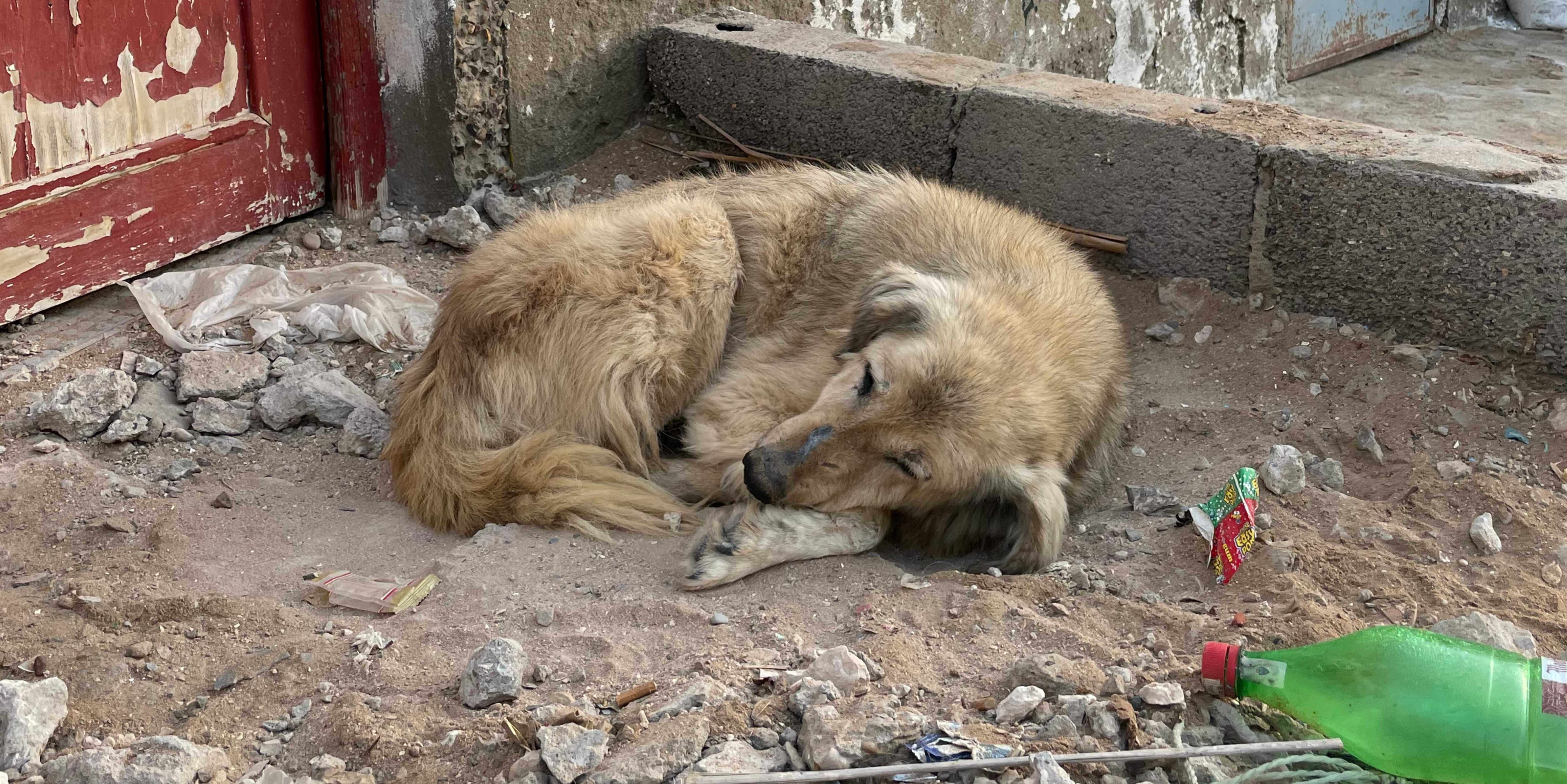 Příběhy z marockého pobřeží