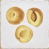FORLI obklad Fruits Decor Mix 15x15