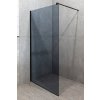 Black Edition Line 100 Walk In sprchový kout graphite (Šířka dveří 100 cm)