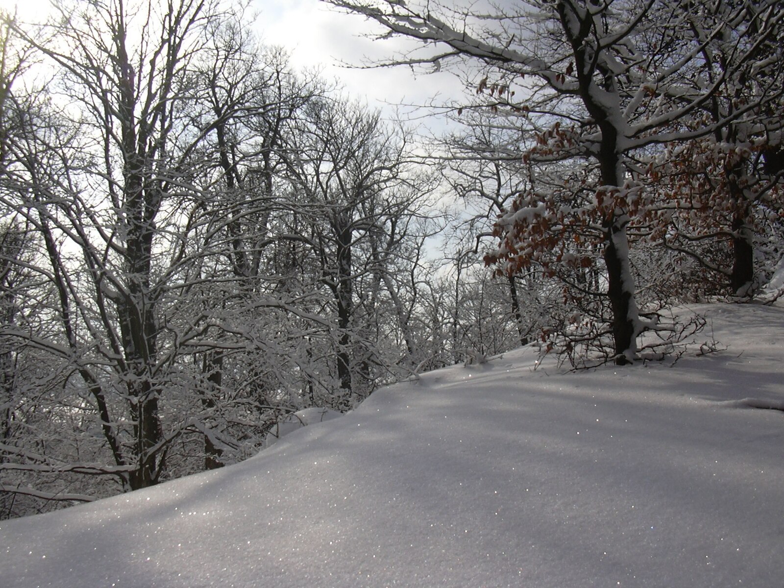 Zimní tipy u Prahy: Hřebeny, Velká Amerika, Točník, Louny