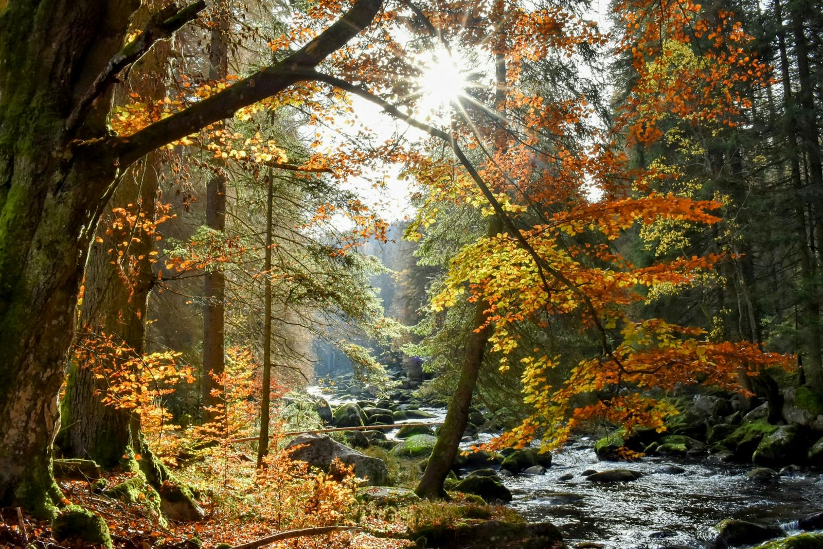 7 ověřených míst, kde legálně přespat v přírodě aneb spaní pod širákem pro začátečníky