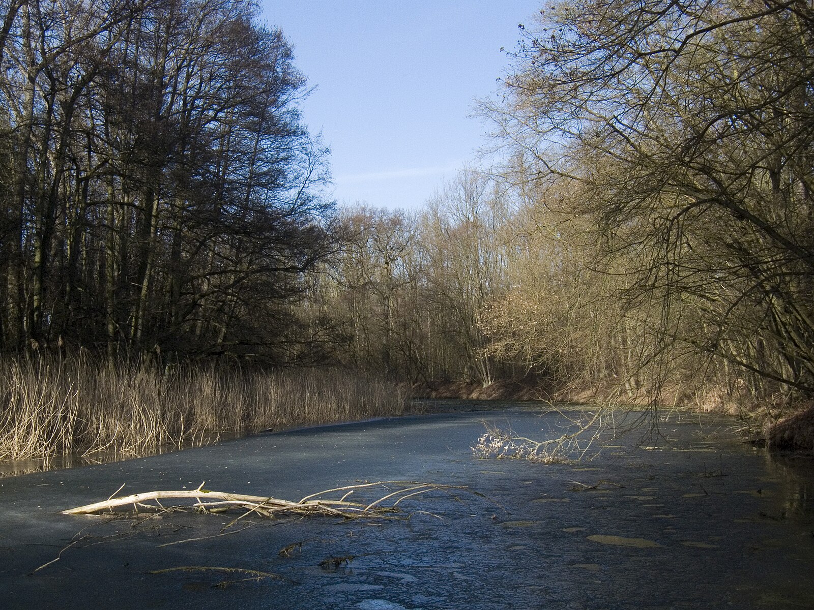 Zimní Polabí: 5 nenáročných okruhů u Labe a Orlice