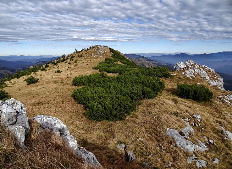 8586c20bc8ef1a003d1a05aeedba3f41