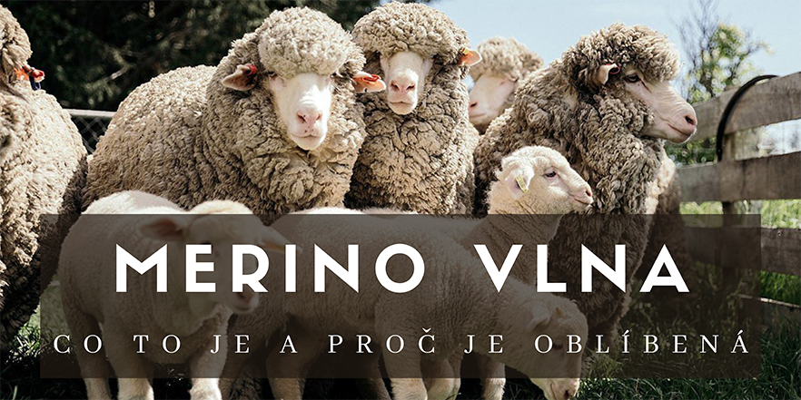 merino-vlna