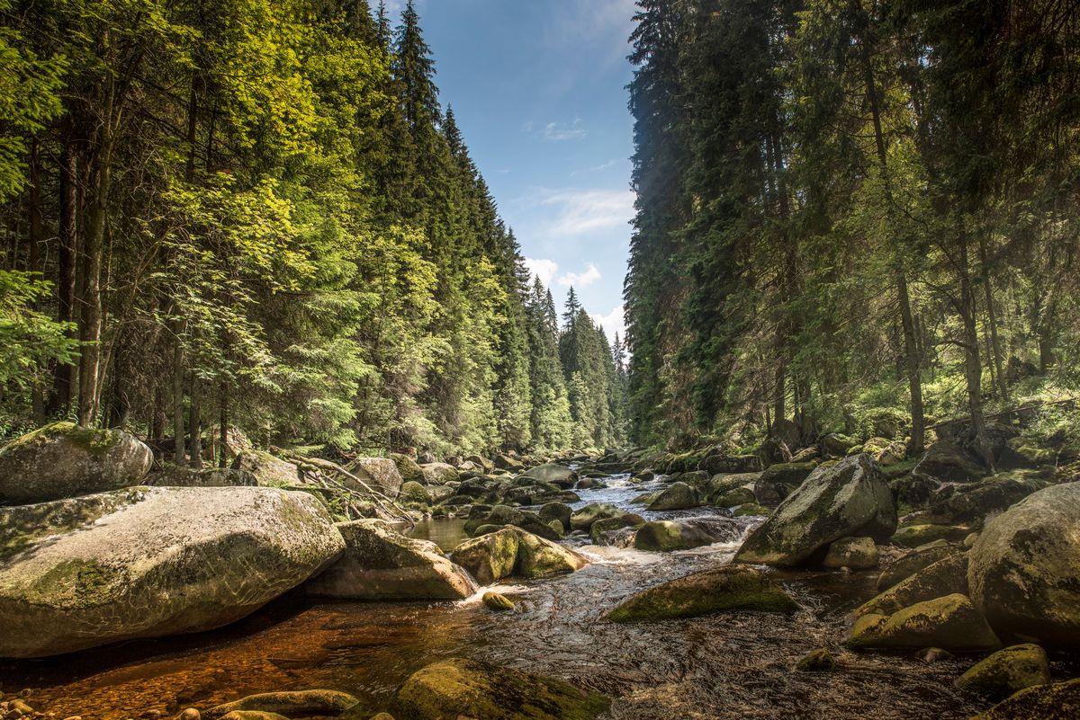 šumava