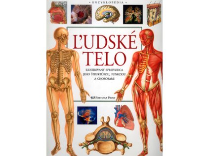 Ľudské telo (Stav Nová - lehce poškozená)