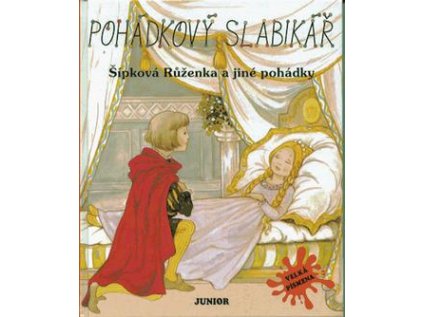 Pohádkový slabikář Šípková Růženka a jiné pohádky (Stav Použité zboží - Běžné opotřebení)
