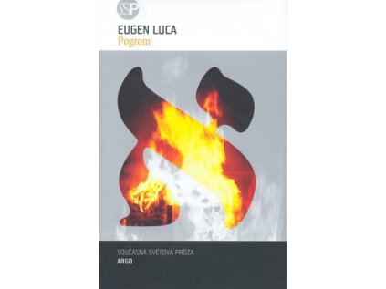 Pogrom (Stav Nová - lehce poškozená)