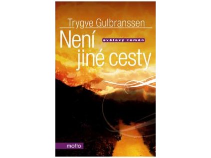 Není jiné cesty (Stav Nová - lehce poškozená)