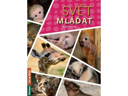 Svět mláďat (Stav Nová)