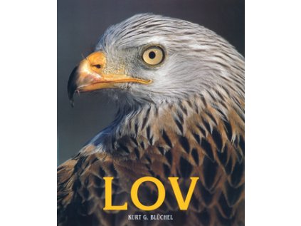 Lov (Stav Nová - lehce poškozená)
