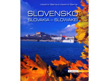 Slovensko Slovakia Slowakei (Stav Nová - lehce poškozená)