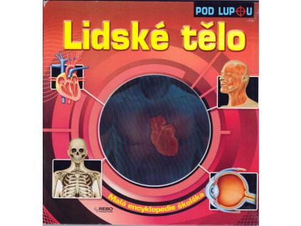 Lidské tělo (Stav Nová - lehce poškozená)